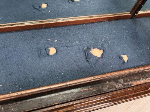 Antique Mahogany Shop 4 Door Glass Display Cabinet