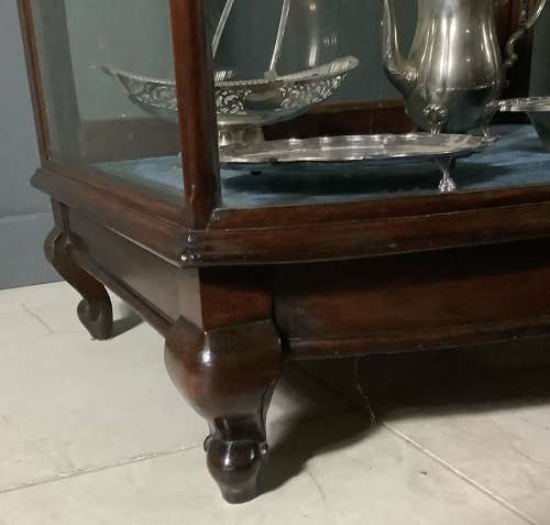 Antique Mahogany Bow Fronted Tall Shop Display Cabinet