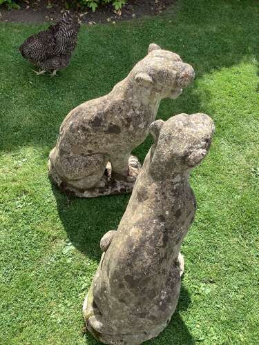 Superb pair of weathered reconstituted sitting Jaguars on bases