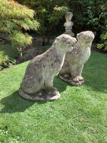 Superb pair of weathered reconstituted sitting Jaguars on bases